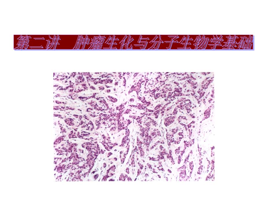 肿瘤生化与分子生物学基础_第1页