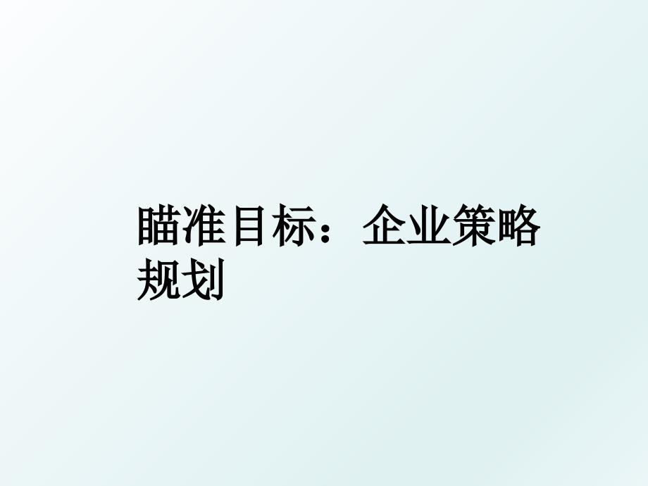 瞄准目标企业策略规划_第1页