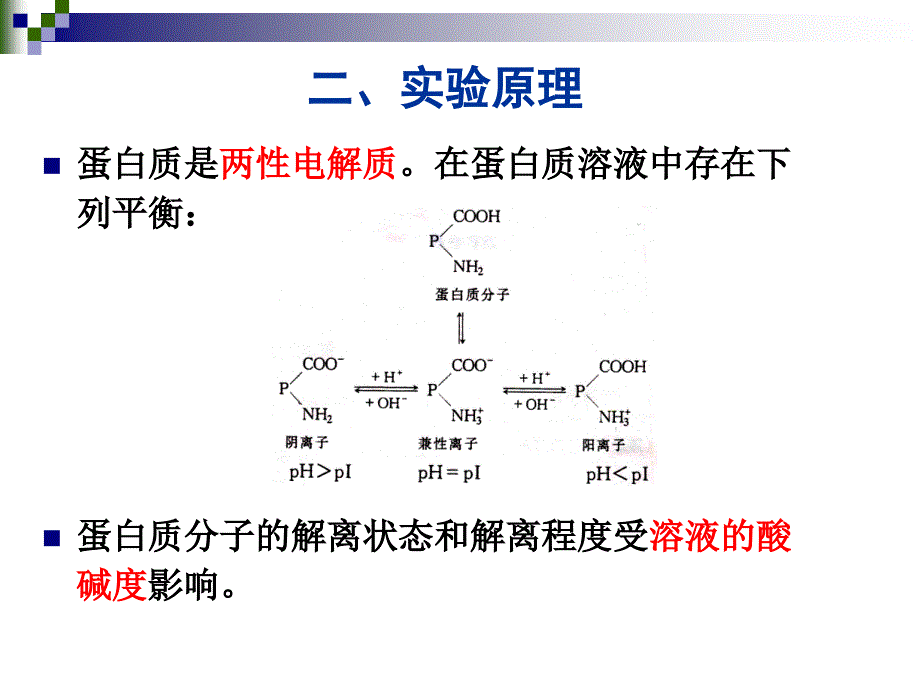 实验蛋白质的等电点测定和沉淀反应_第3页