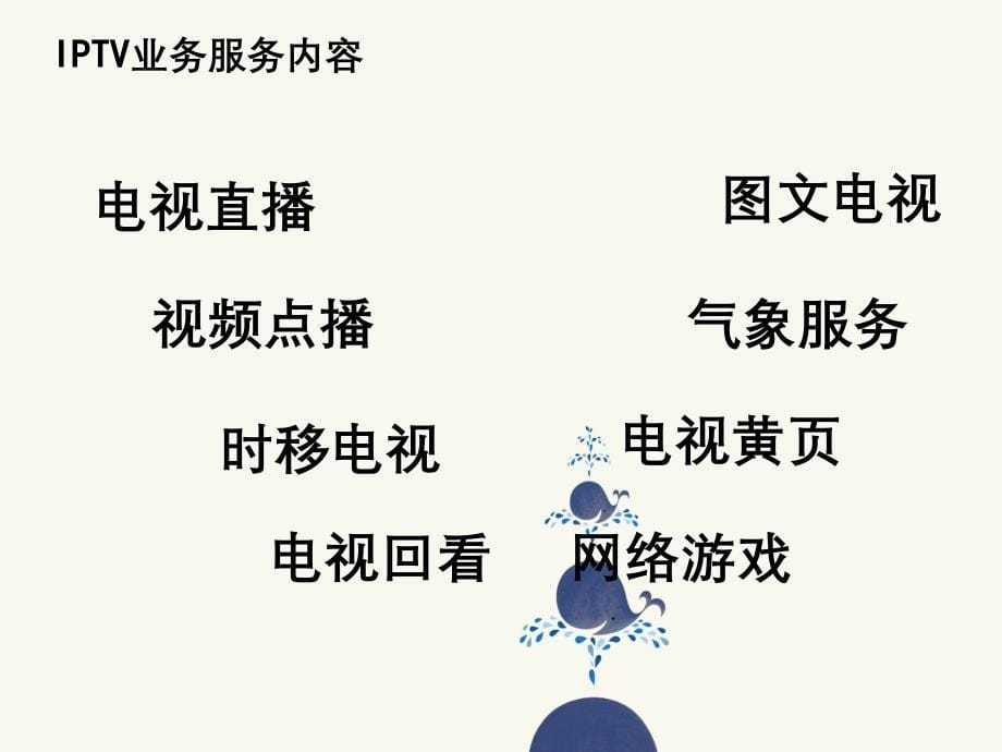 中国电信IPTV业务及安装调试培训_第5页