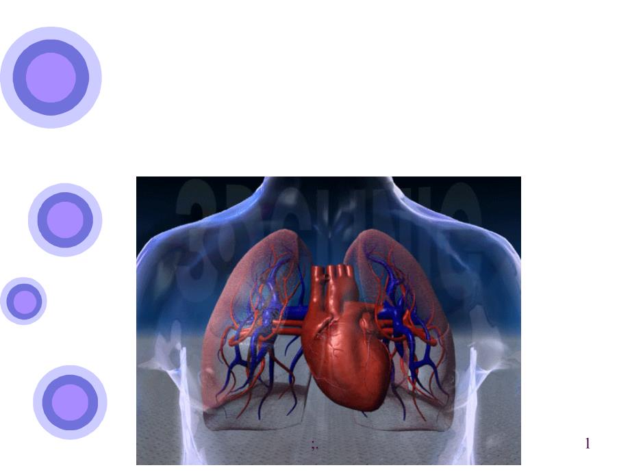16心肺功能训练ppt课件_第1页