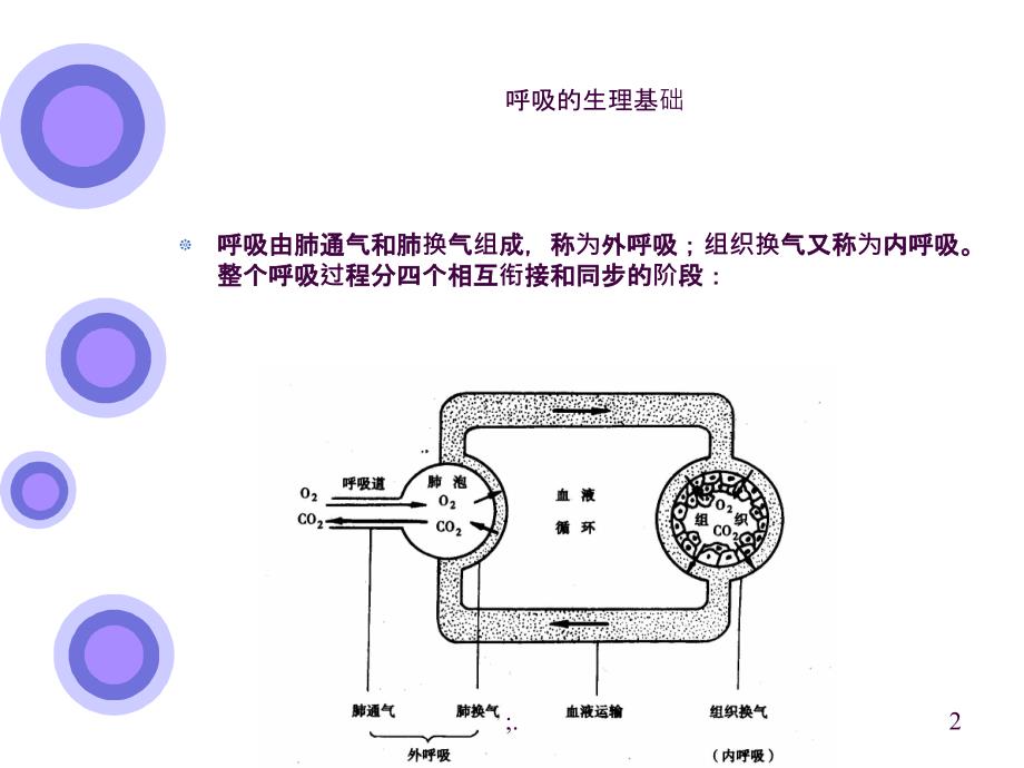 16心肺功能训练ppt课件_第2页