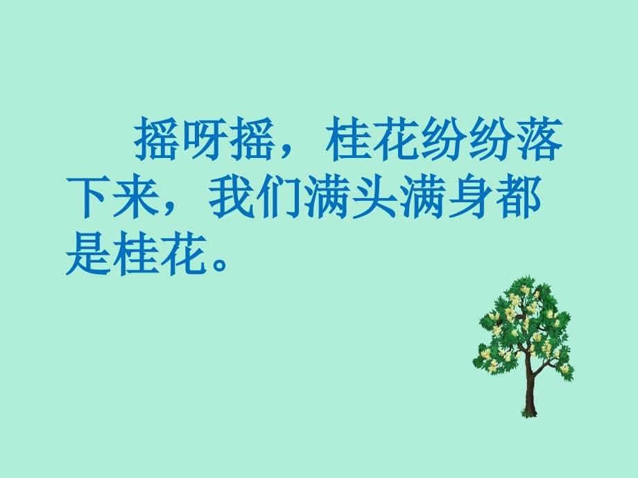 桂花雨_教学课件_第5页