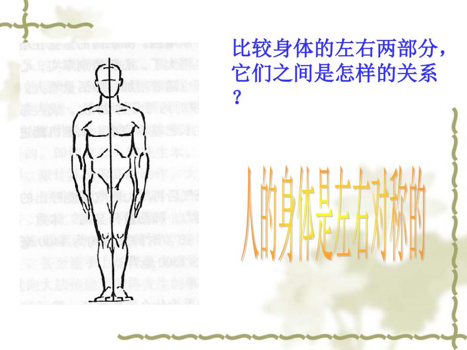 教科版小学科学四年级上册第四单元《身体的结构》PPT课件_第4页