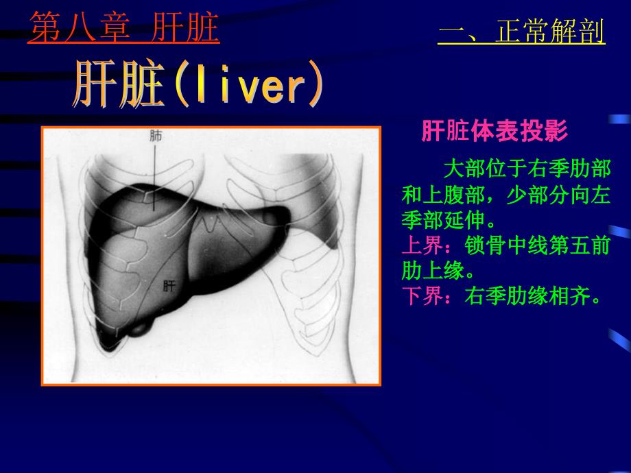 肝脾超声静-精选文档课件_第1页