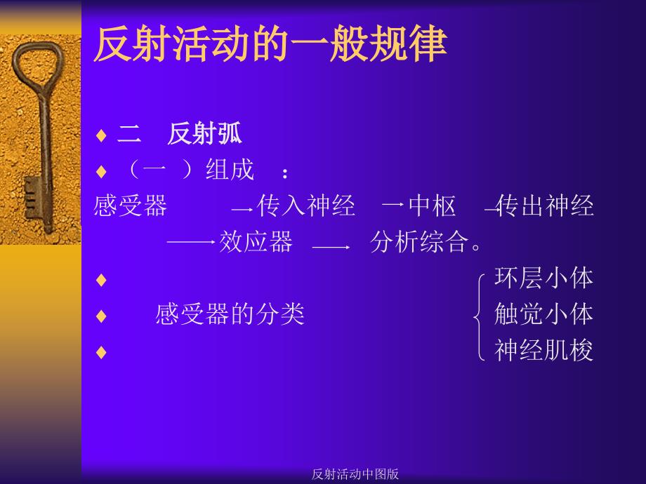 反射活动中图版课件_第2页