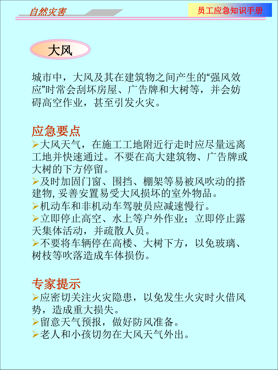 最新员工应急培训知识手册PPT幻灯片_第2页