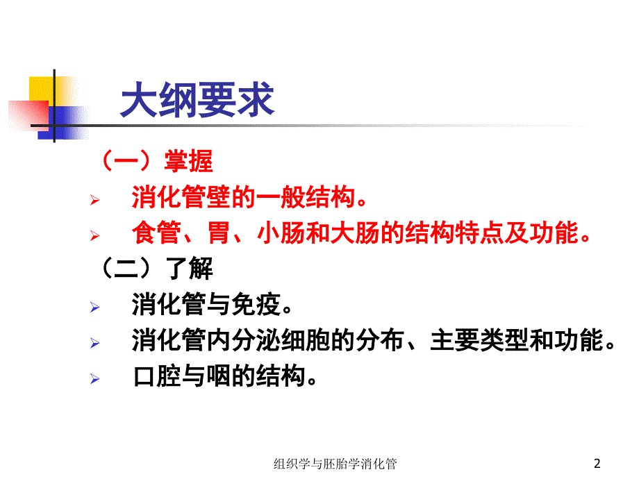 组织学与胚胎学消化管课件_第2页