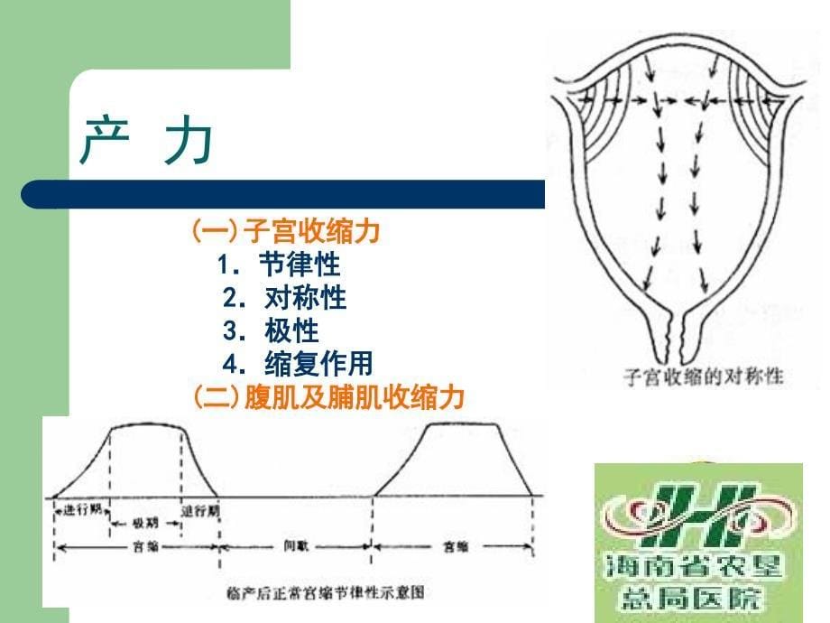 正常分娩妇产科教材_第5页