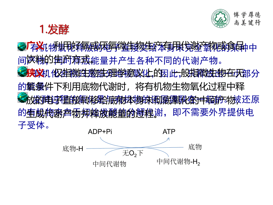 知识点2微生物的生物氧化课件_第3页