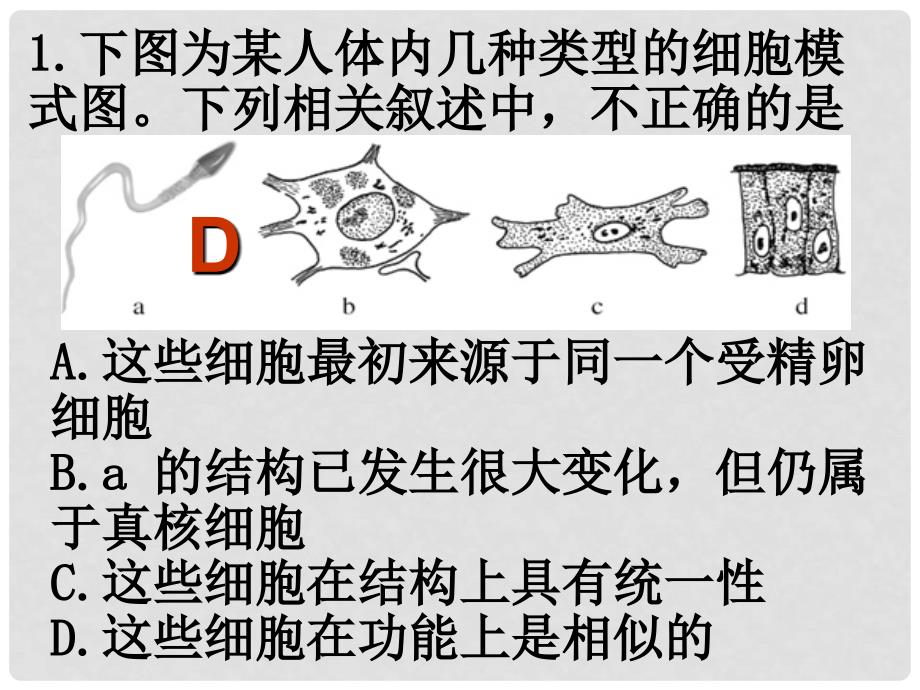 高中生物《第二章 第三节 遗传信息的携带者 核酸》课件5 新人教版必修1_第1页