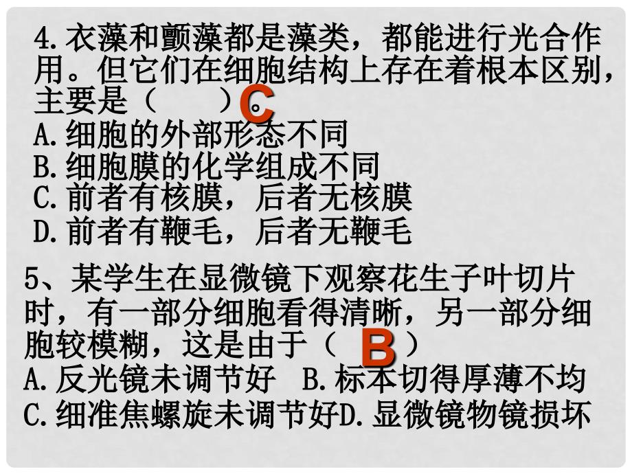 高中生物《第二章 第三节 遗传信息的携带者 核酸》课件5 新人教版必修1_第3页