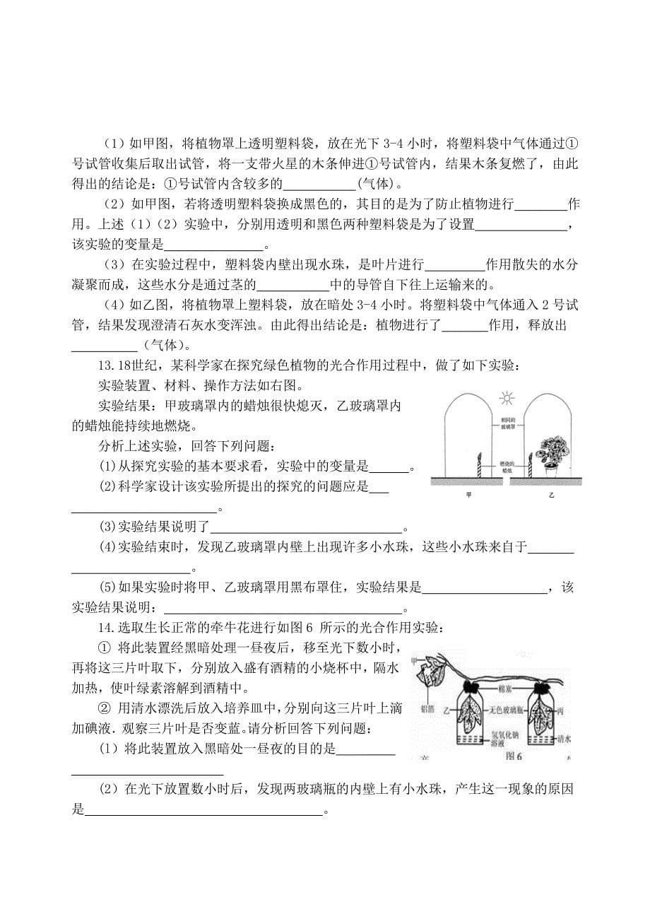 生物中考专题突破-绿色植物及生理作用(三)_第5页