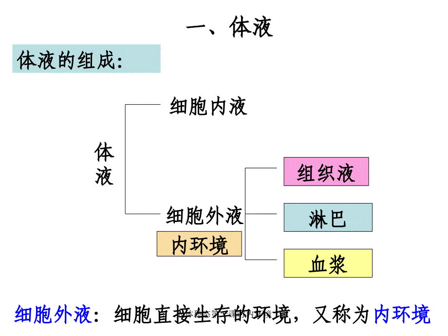 人体稳态第一课时内环境课件_第4页