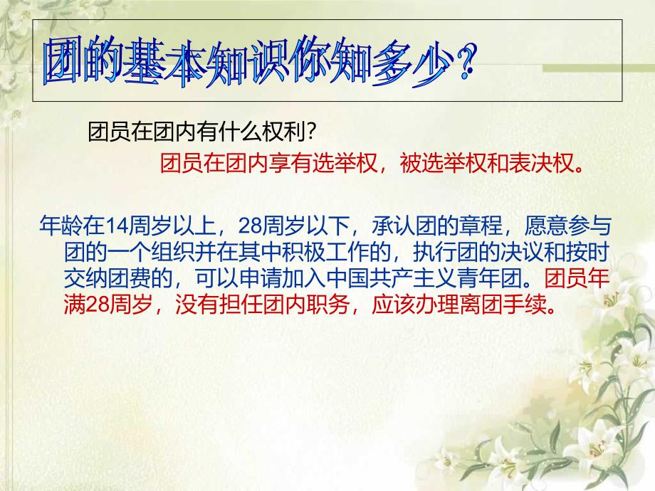 中国共青团ppt课件_第4页