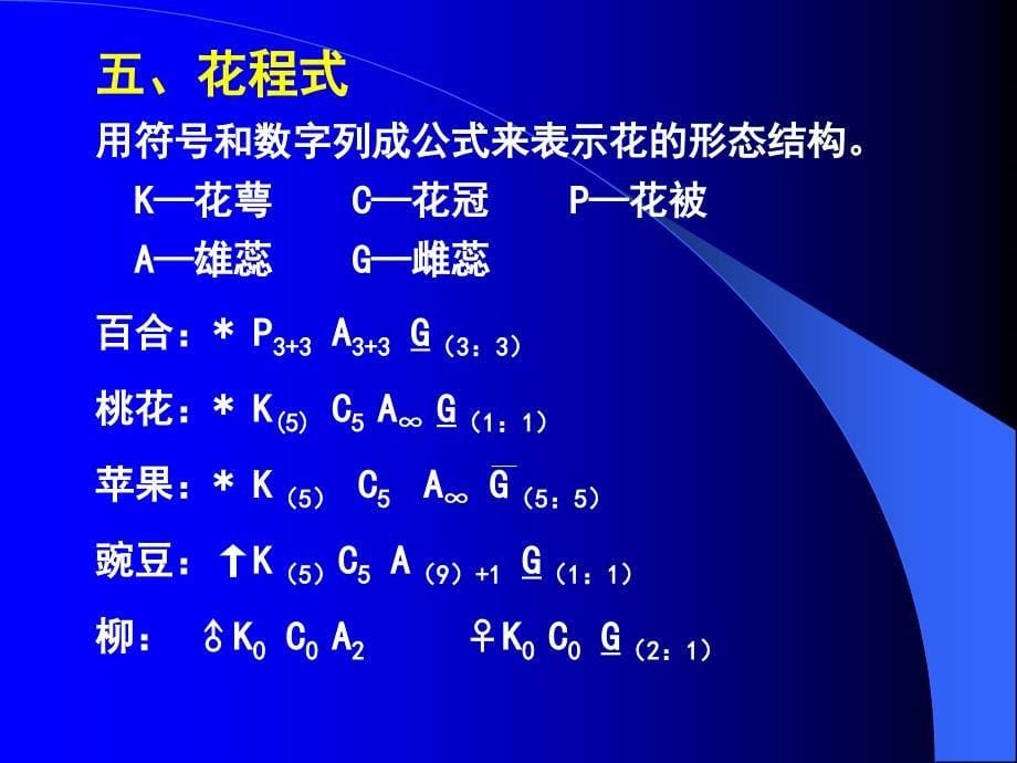 被子植物的分类_第5页