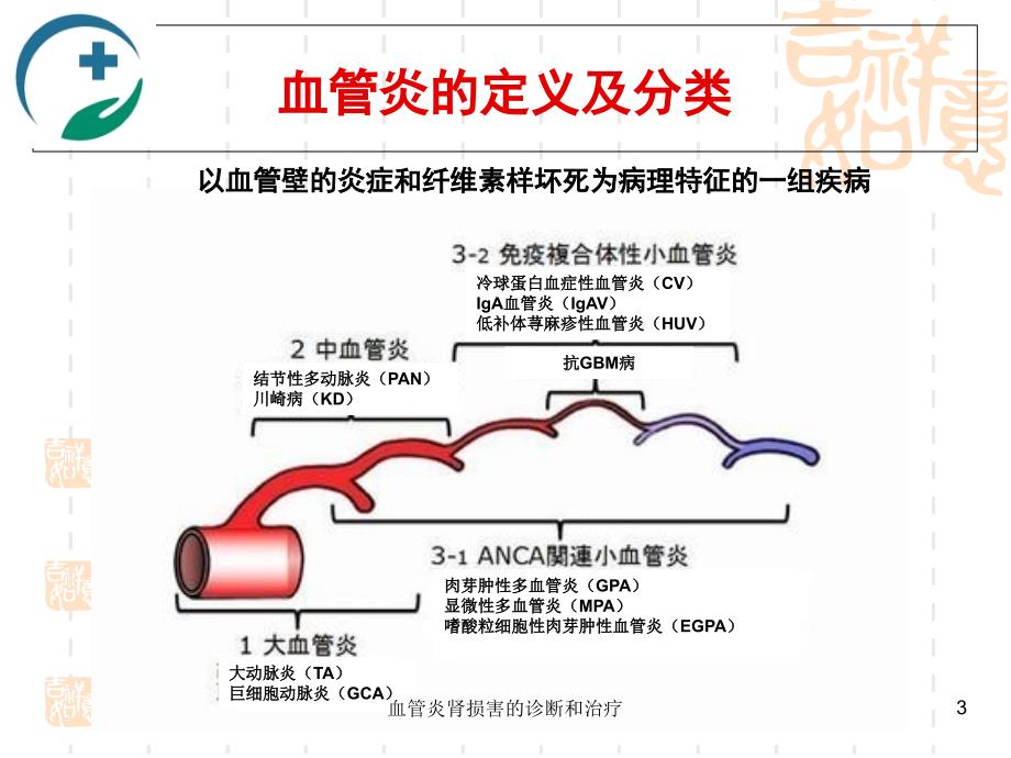 血管炎肾损害的诊断和治疗课件_第3页