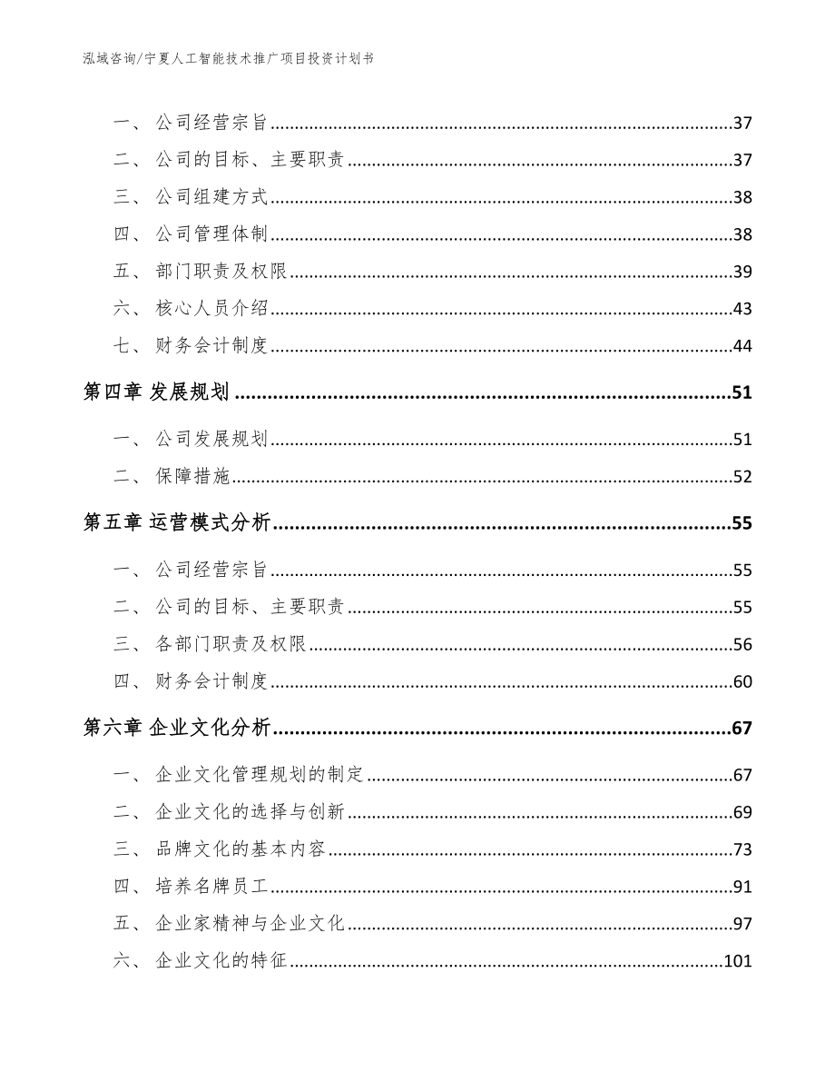 宁夏人工智能技术推广项目投资计划书范文参考_第4页