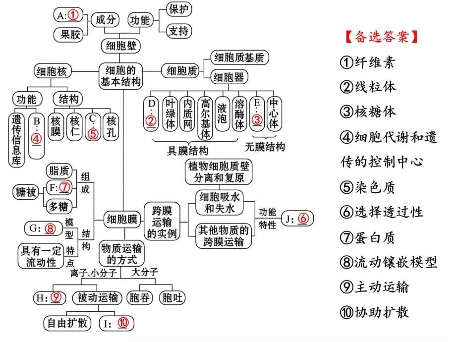 酶降低活化能PPT课件_第5页