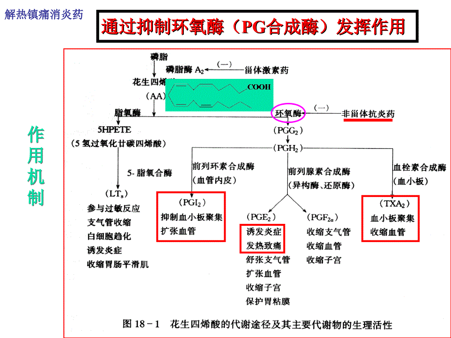 最新20：解热镇痛药临床PPT文档_第4页