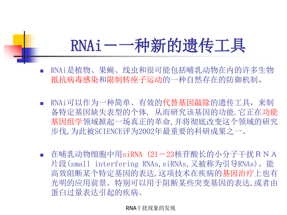 RNA干扰现象的发现课件_第4页