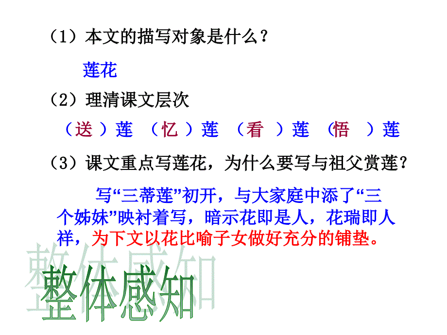 荷叶--母亲4教学文案_第2页