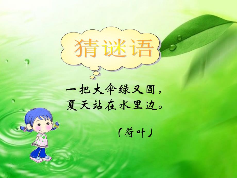 冀教版一年级语文下册四单元14荷叶伞课件2_第1页