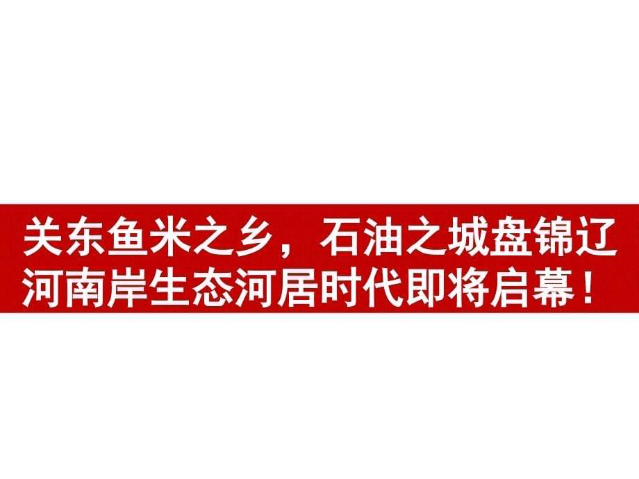 盘锦永利项目奠基仪式推广即品牌导入前期推广建议_第5页