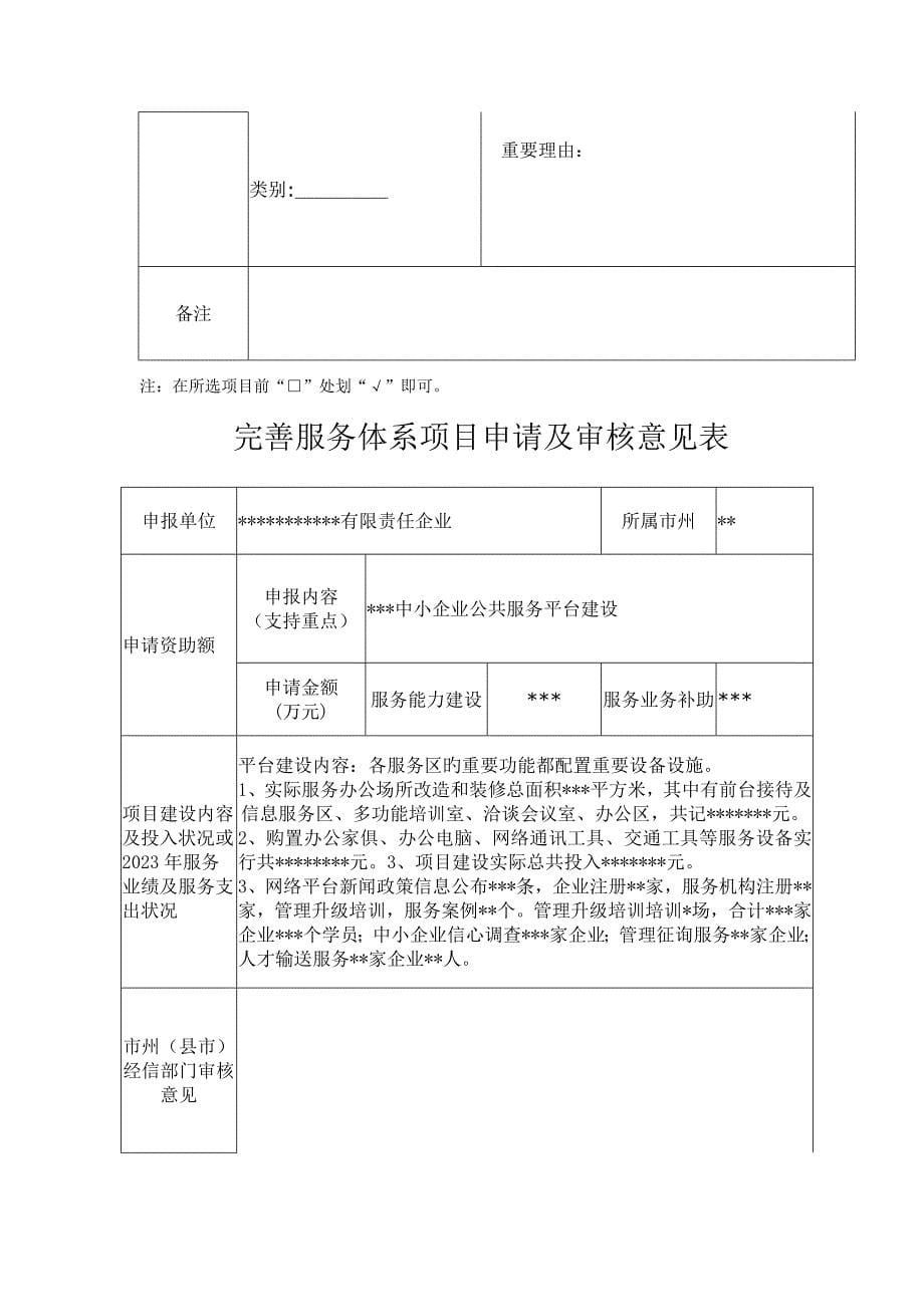 湖南省中小企业发展专项资金完善服务体系项目申请书.doc_第5页