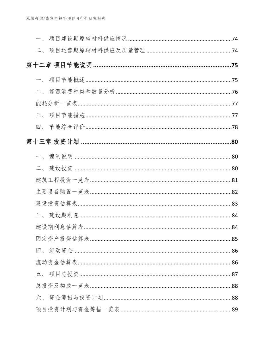 南京电解铝项目可行性研究报告（参考范文）_第5页