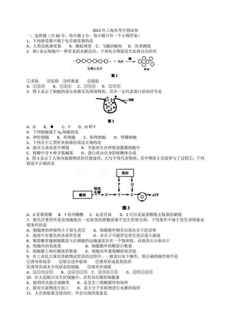 2013年全国普通高等学校招生统一考试上海生物试卷_第1页