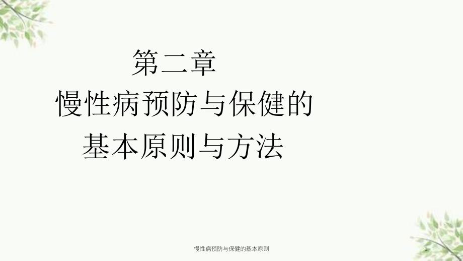 慢性病预防与保健的基本原则课件_第1页