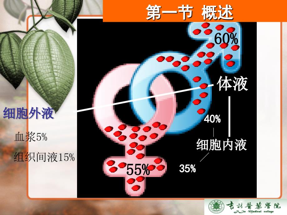 第三章外科病人的体液和酸碱平衡失调课件_第3页