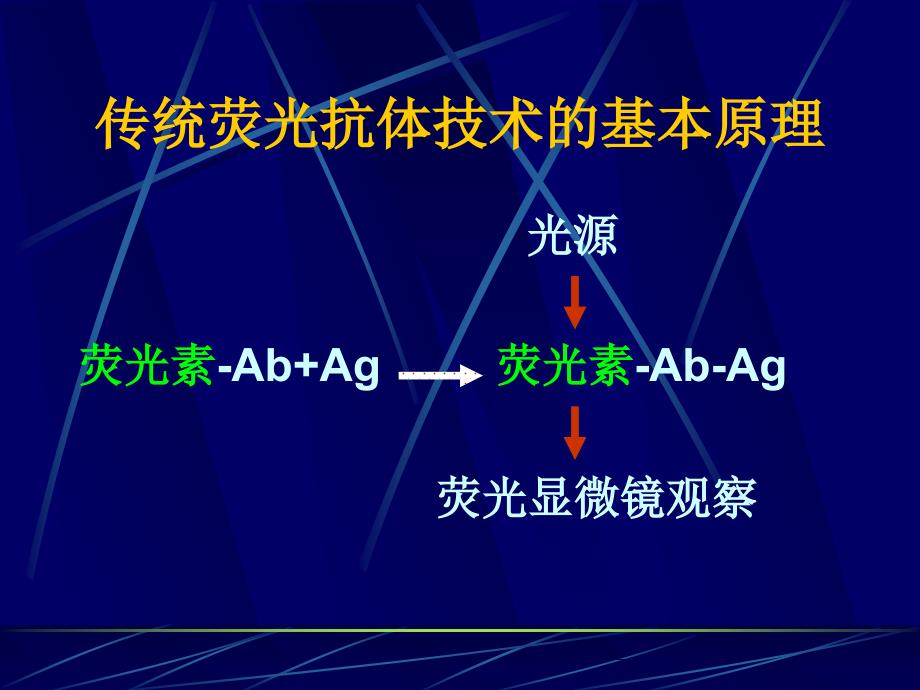 荧光免疫技术课件_第4页