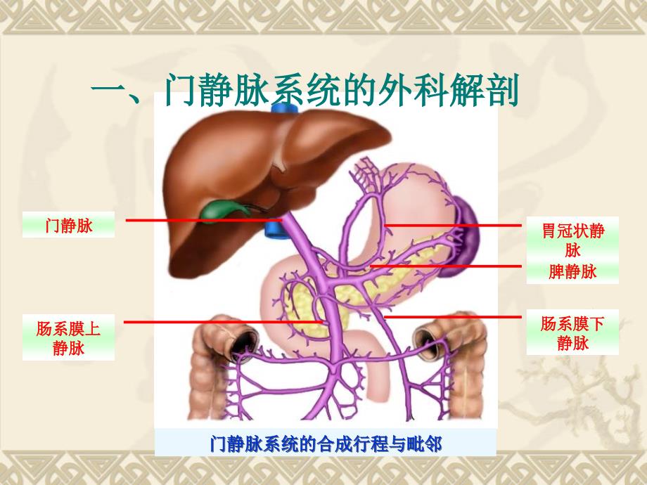 门静脉高压症的手术治疗单纯脾切除_第2页