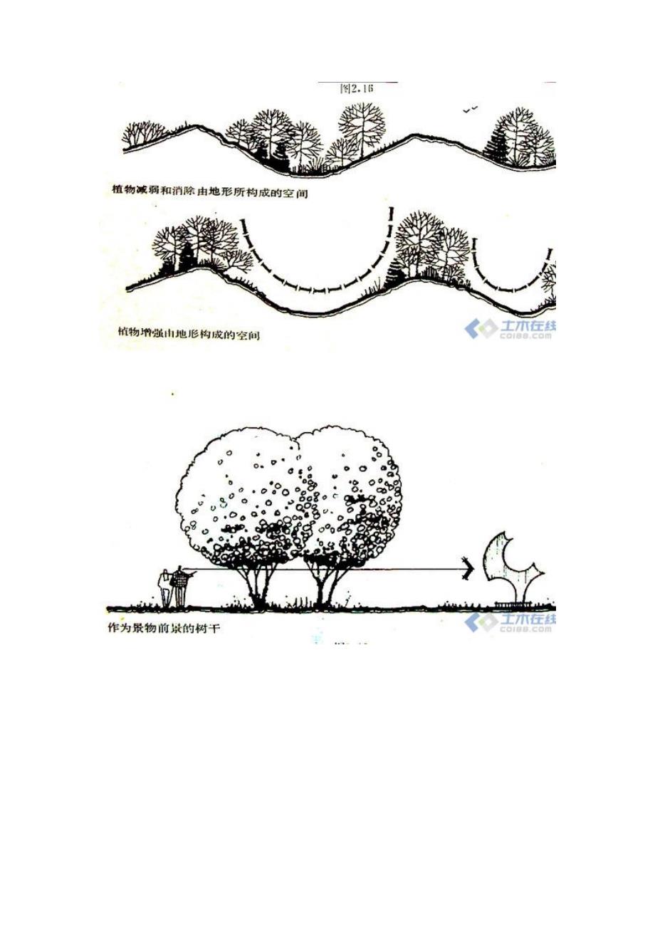 园林种植设计_第2页