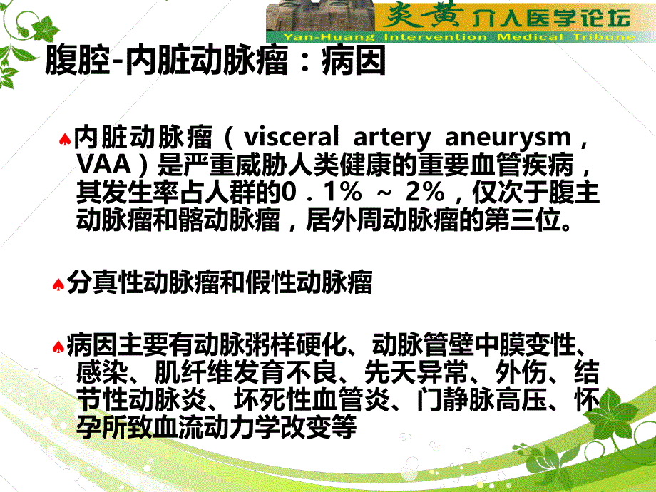 内脏动脉瘤的介入栓塞治疗PPT课件.ppt_第2页