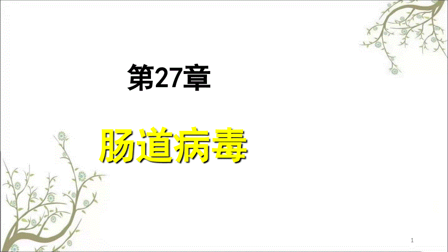 肠道病毒2课件_第1页