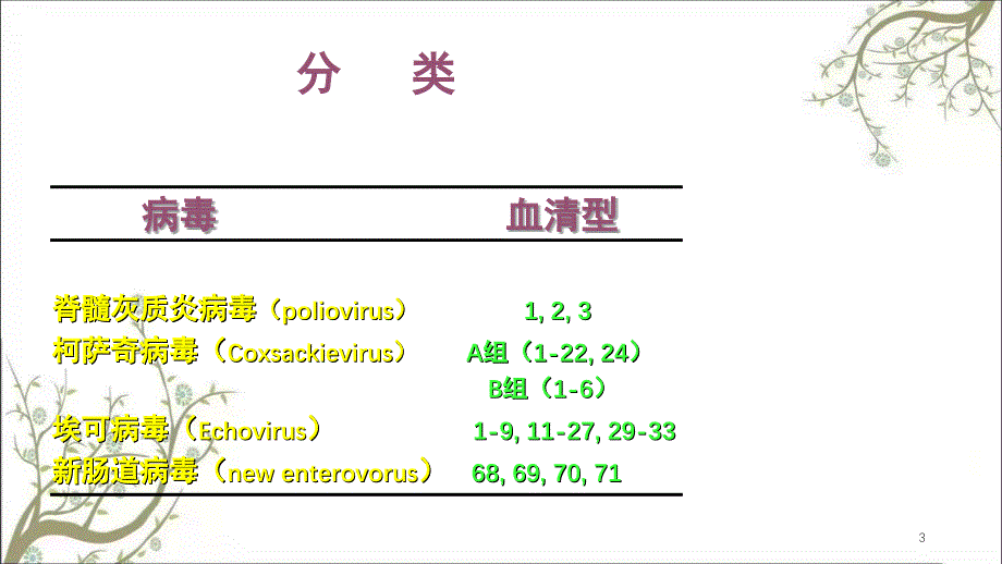 肠道病毒2课件_第3页