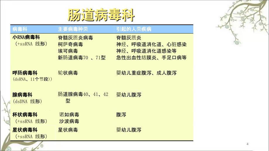 肠道病毒2课件_第4页