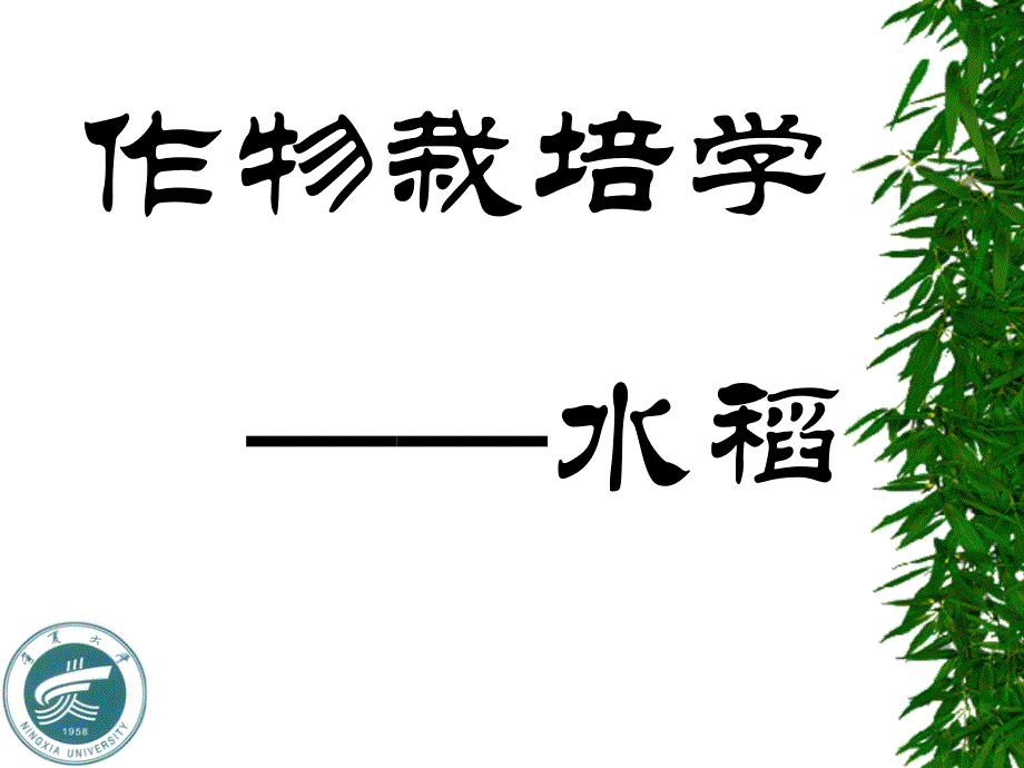作物栽培学水稻_第1页