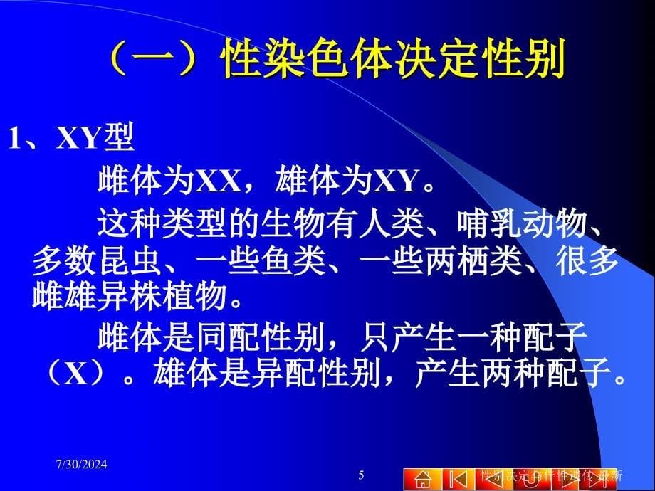 性别决定与伴性遗传最新_第5页