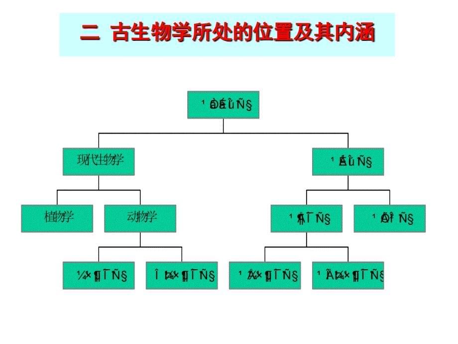 古生物学：1 绪论（古生物地史学）_第5页