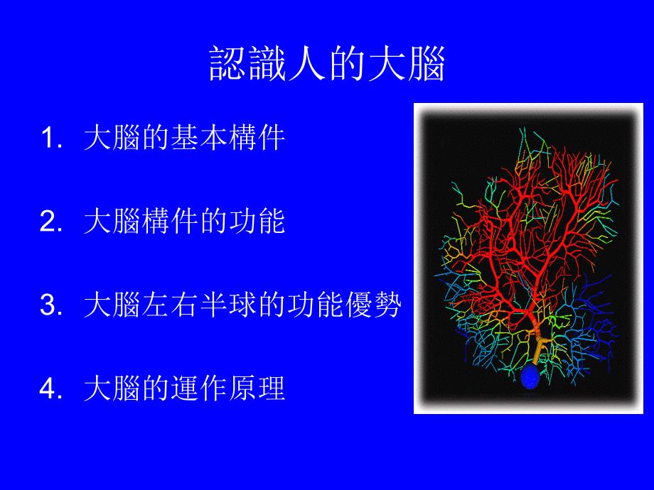 大脑左右半球的功能优势.ppt课件_第1页