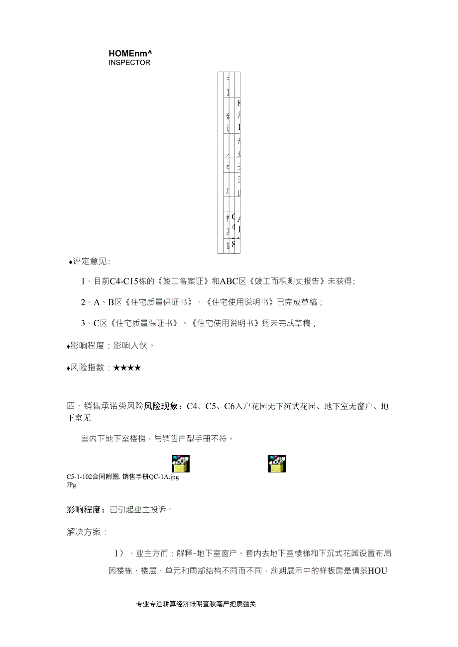 交付风险检查报告_第4页