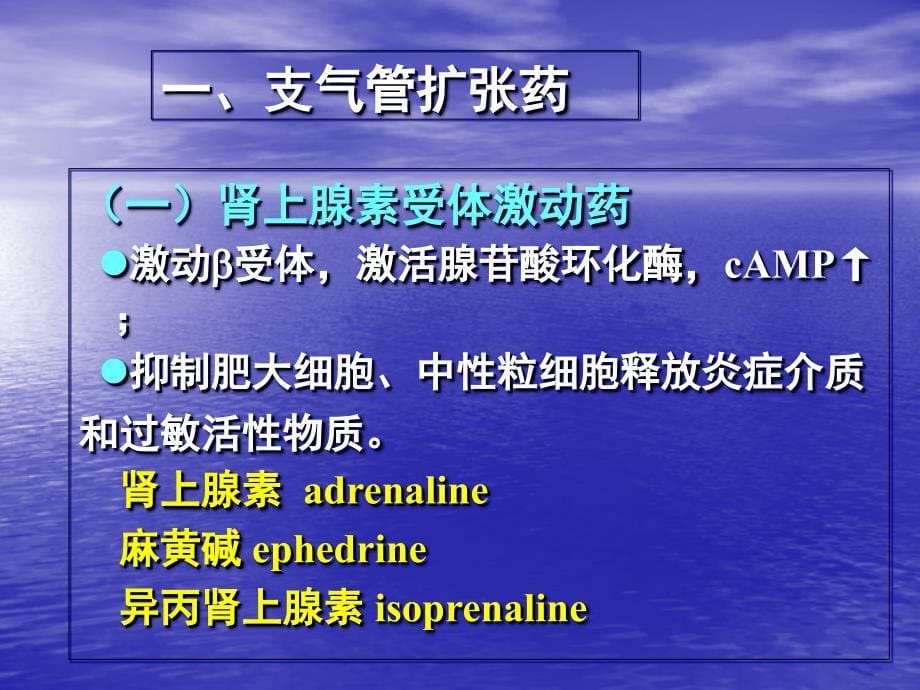 雾化吸入讲课课件_第5页