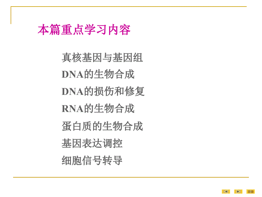 人卫8版-真核基因与基因组_第3页