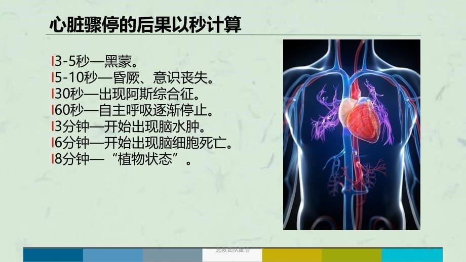 急救团队配合课件_第5页