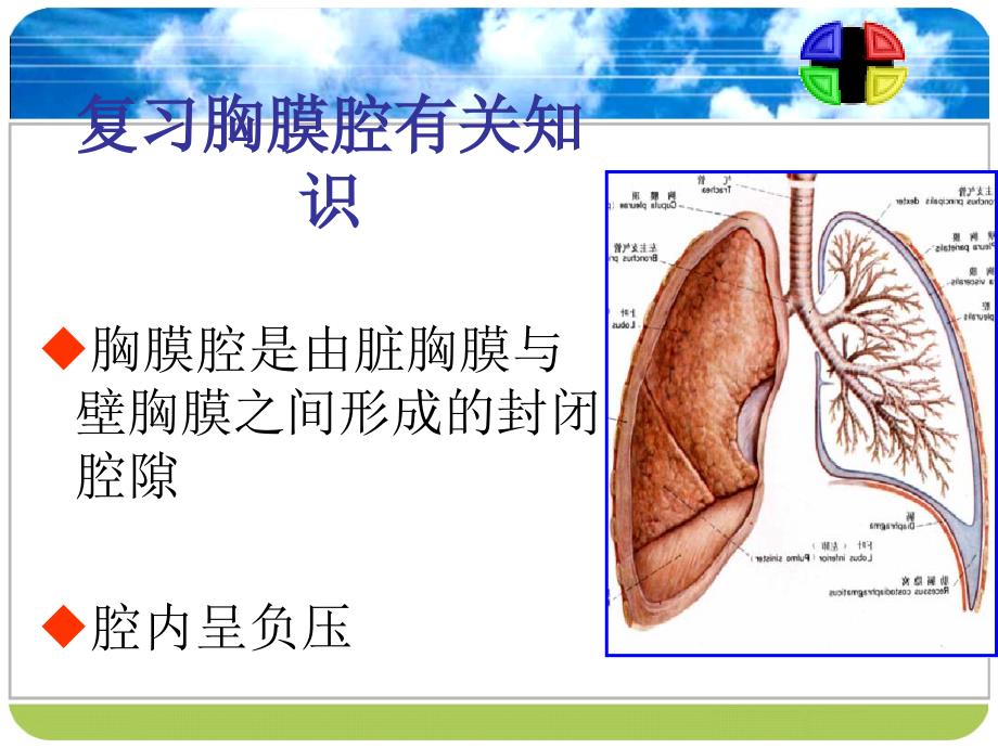 闭式胸腔引流术的护理_第4页