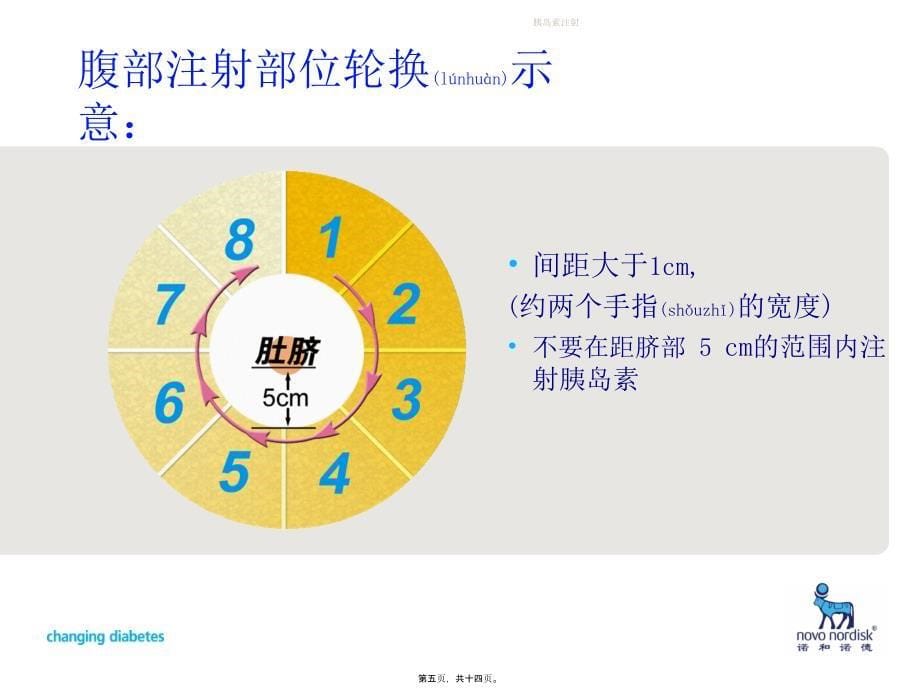 胰岛素注射课件_第5页